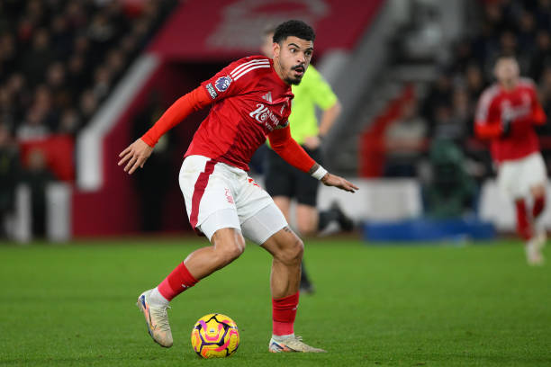 森的三分投 森的三分投