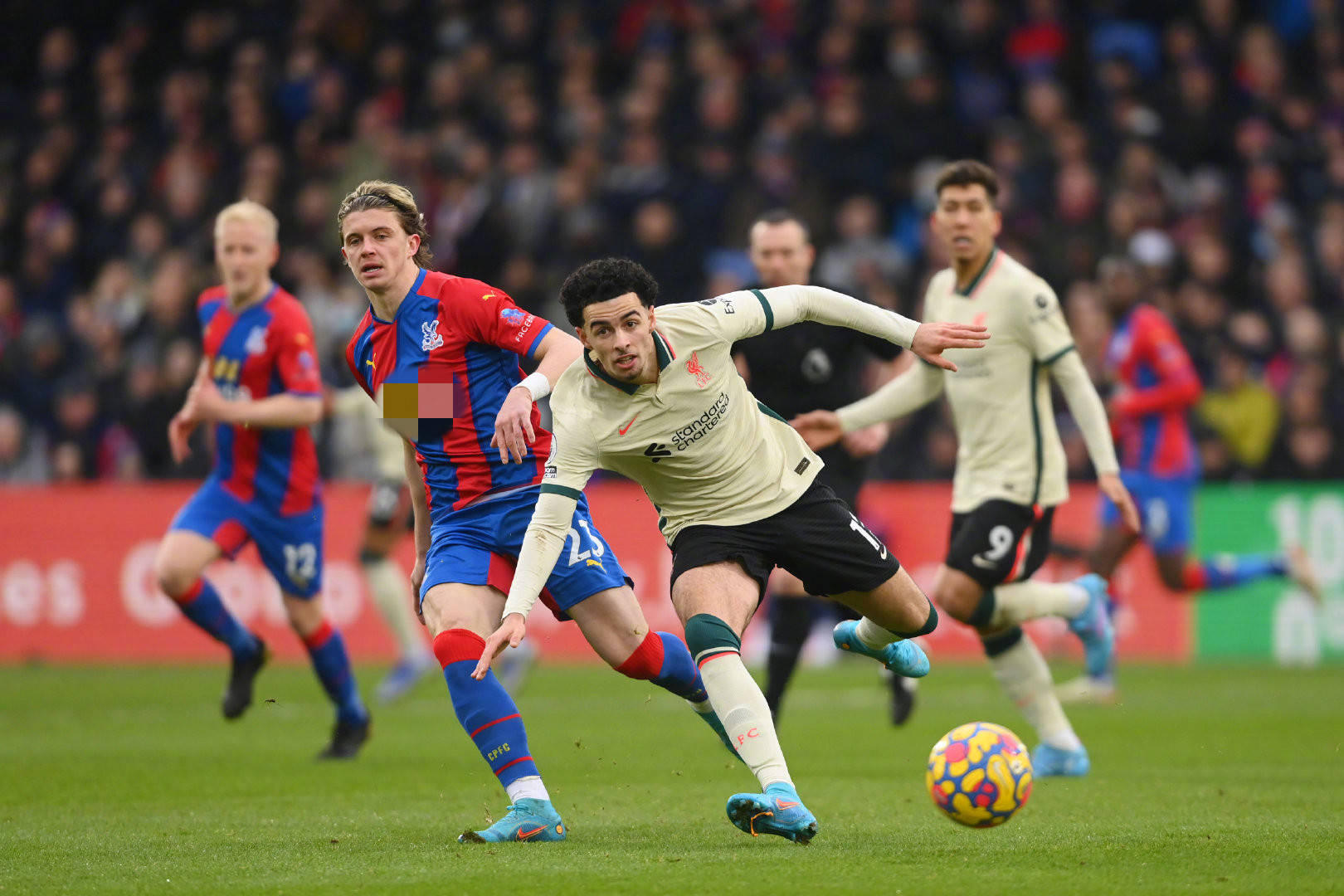 这篇文章旨 这篇文章旨